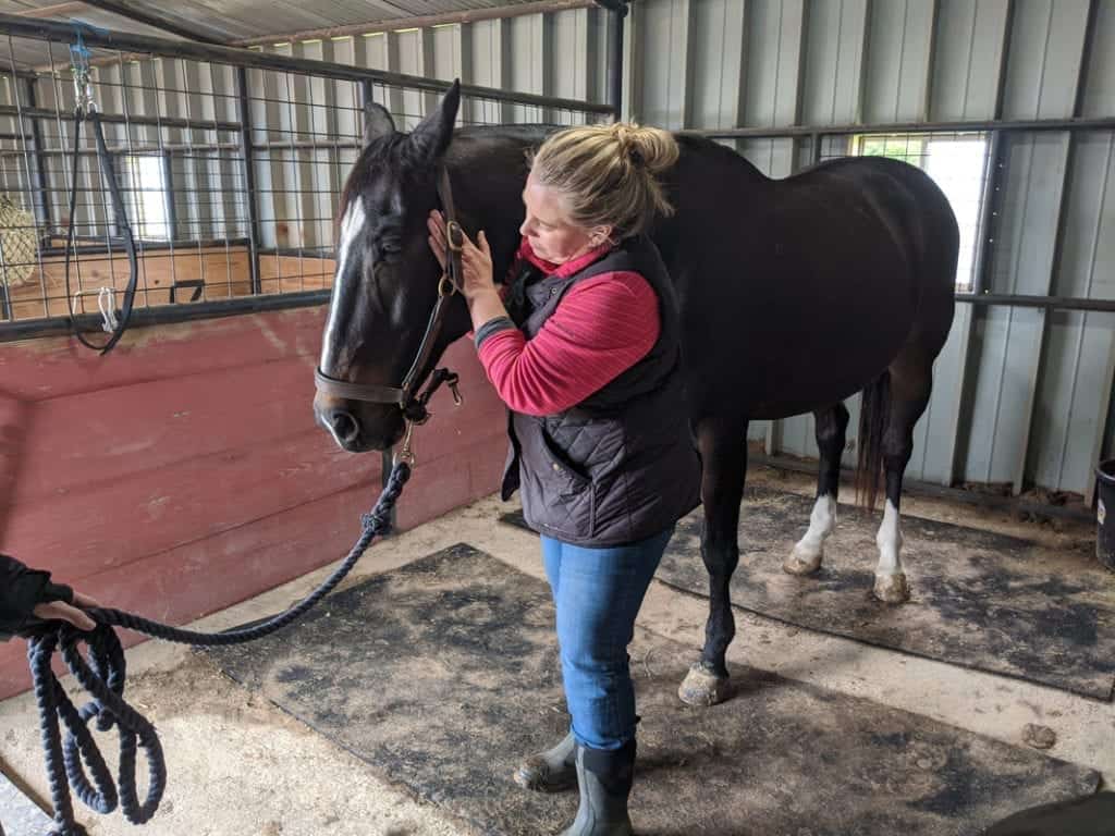 equine masseuse