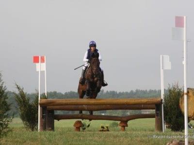 eventing horse jumping